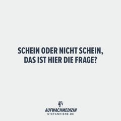 Schein oder nicht schein, das ist hier die Frage?