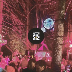 San Miguel @ Cosmic Picnic | Kazakhstan - Almaty Mountains