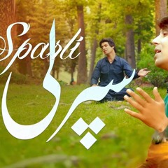 Awram_che_sparle_razee____sahib__shahsabir____اورم_چې_سپرلي_راځي_زیشان_علی_زرګر(256k).mp3