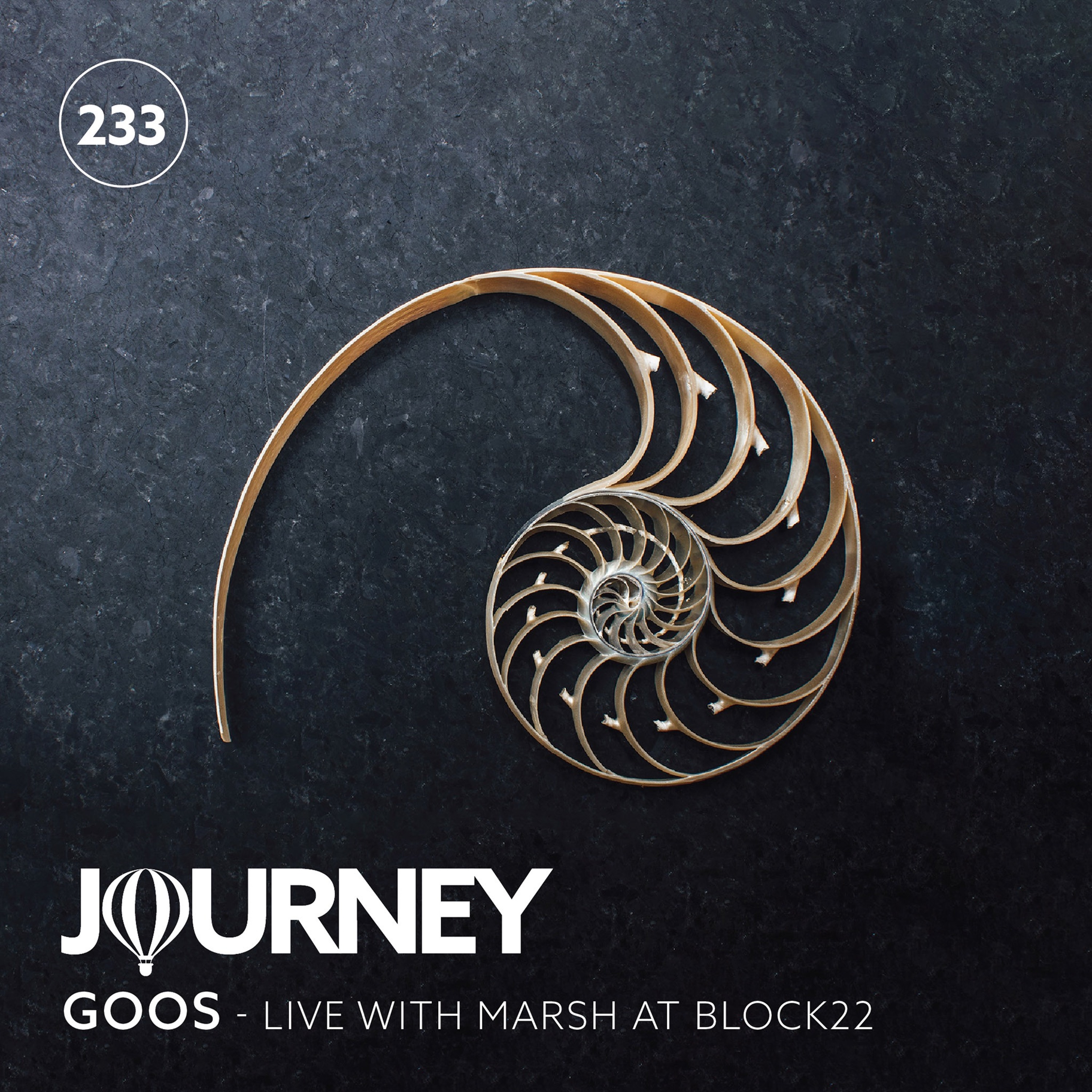 Journey - Episode 233 - Goos, Live with Marsh at Block22 episode artwork