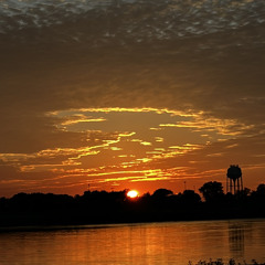 Arrested Development Ft. Moola Baby