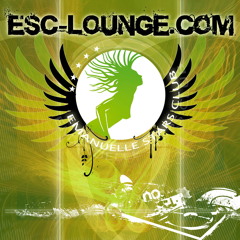 Dj Steve Guard - Feel House Tunes 2024 - Festival Mix