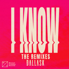 I Know (DLMT Extended Remix)