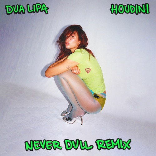 Dua Lipa - Houdini (NEVER DULL REMIX)