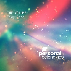 Tidy Daps - The Volume (Original Mix)