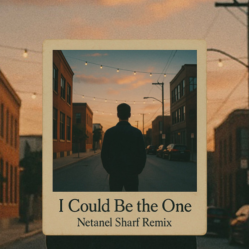 I Could Be The One - Netanel Sharf Remix