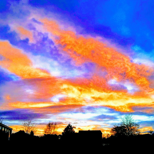 Wild Child by Ian Tait