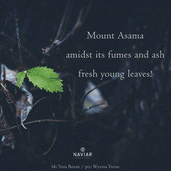 Mount Asama (naviarhaiku579)