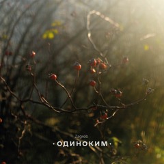 Молодость