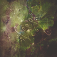 AF Premiere: ILAY RUNI - Hinun[Aurora Records][OUT!!26.11.25]