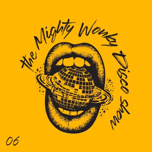The Mighty Wonky Disco Show - 06