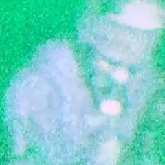 DO.RE.MI(até o sol sair)