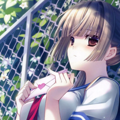 waifu idiot