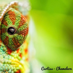 Curtiss - Chameleon