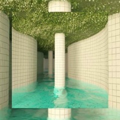 MONTAGEM GREEN RENITCH V2 - DJ TSK.4, WXCHSXN