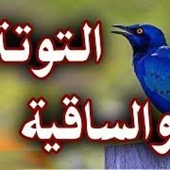 ع التوته والساقيه