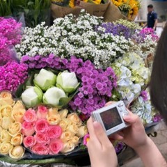 thập cẩmm
