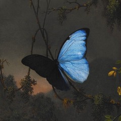 Scheiße/You Can Win (prod. essence)