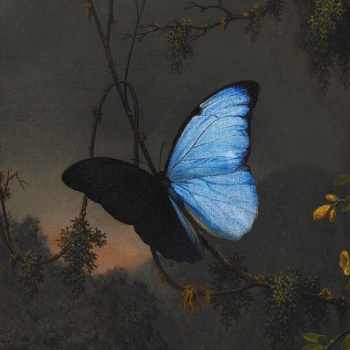 Scheiße/You Can Win (prod. essence)