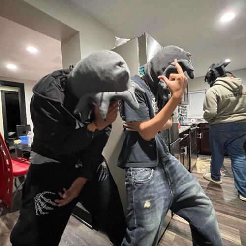 Disswars but I Didn't Have Anyone to Diss Lmao (feat. cshsznxo!)