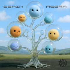 Asera