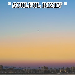 S̷O̷U̷L̷F̷U̷L̷ R̷I̷Z̷I̷N̷'
