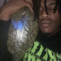 Run It Up (ft. nicegoingjosh)