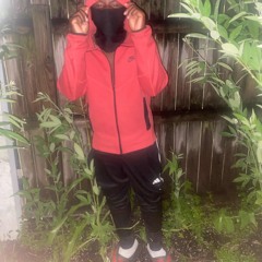 Fullys - Ft.5havinn