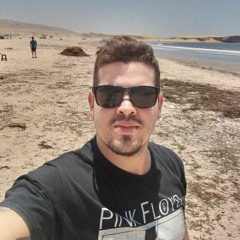 De los besos que te di