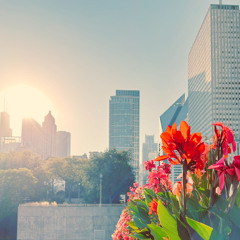 Camera Flash (Instrumental)