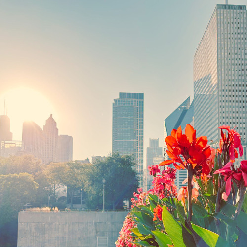 Camera Flash (Sped Up Instrumental)