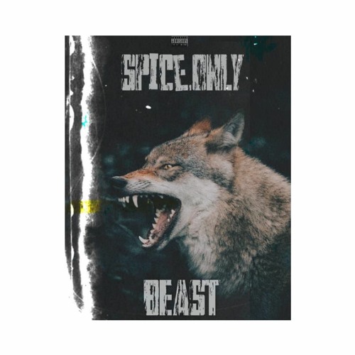 BEAST -SPICE.ONLY prod.( y.seriouscarter)