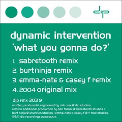 Dynamic Intervention - What You Gonna Do (BurtNinja Remix)