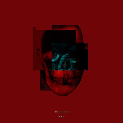 New Flesh - Black Asteroid [Full Ep Snippets]