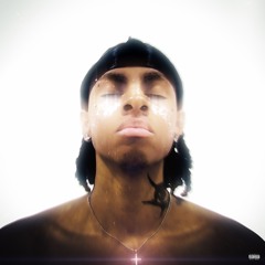 Dermal Piercing p. 5kjordn