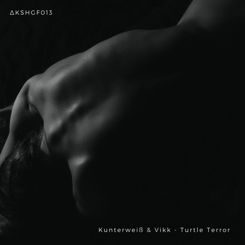 [ΔKSHGF013] Kunterweiß & Vikk - Turtle Terror