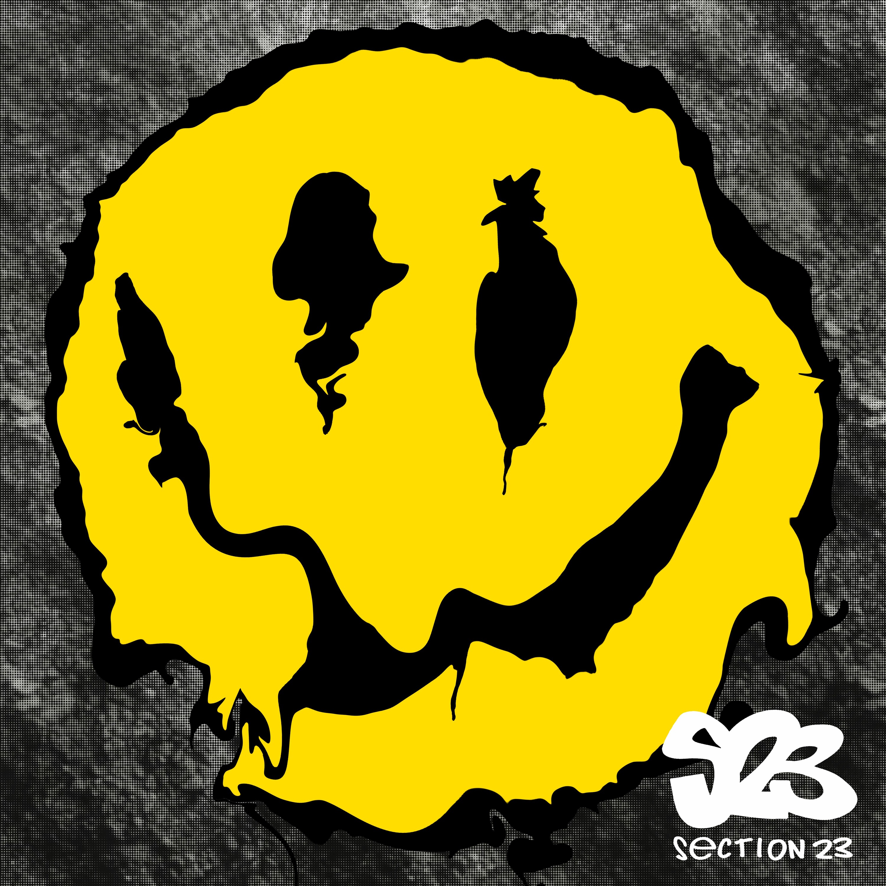 Section 23