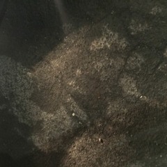 From Above