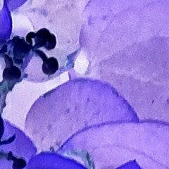 So Slow, Everything In Hyper - Repetition 1.