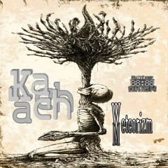 Kach - The Meteorizm