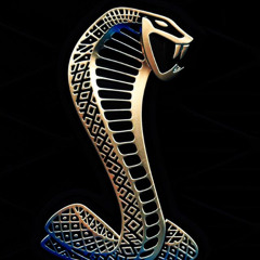 Back Strong Freestyle