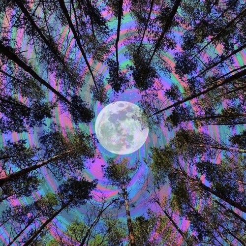 Con Thuyen Noah x Childhood