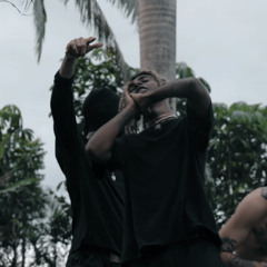 Trvp