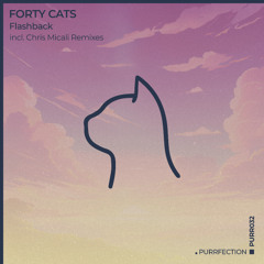 Premiere: Forty Cats - Flashback (Chris Micali Remix) [PURRFECTION]