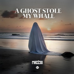 Macedo - A Ghost Stole My Whale