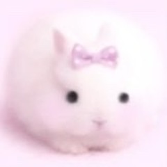 ♥︎ めりーごーにゃんど‪ ♡⁎⋆*