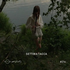 Settima Tacca - 5/8 Radio #214
