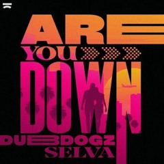 Dubdogz X Selva - Are You Down (Guirzexx Remix)