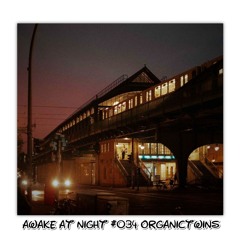 Awake at Night Podcast #034 OrganicTwins