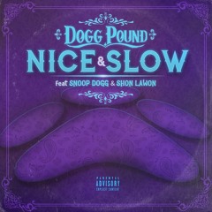 Nice & Slow (feat. Shon Lawon & Snoop Dogg)